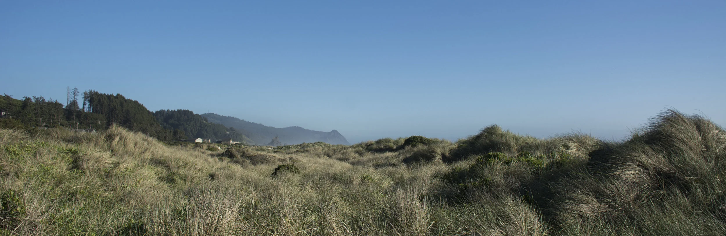  Oregon Coast 