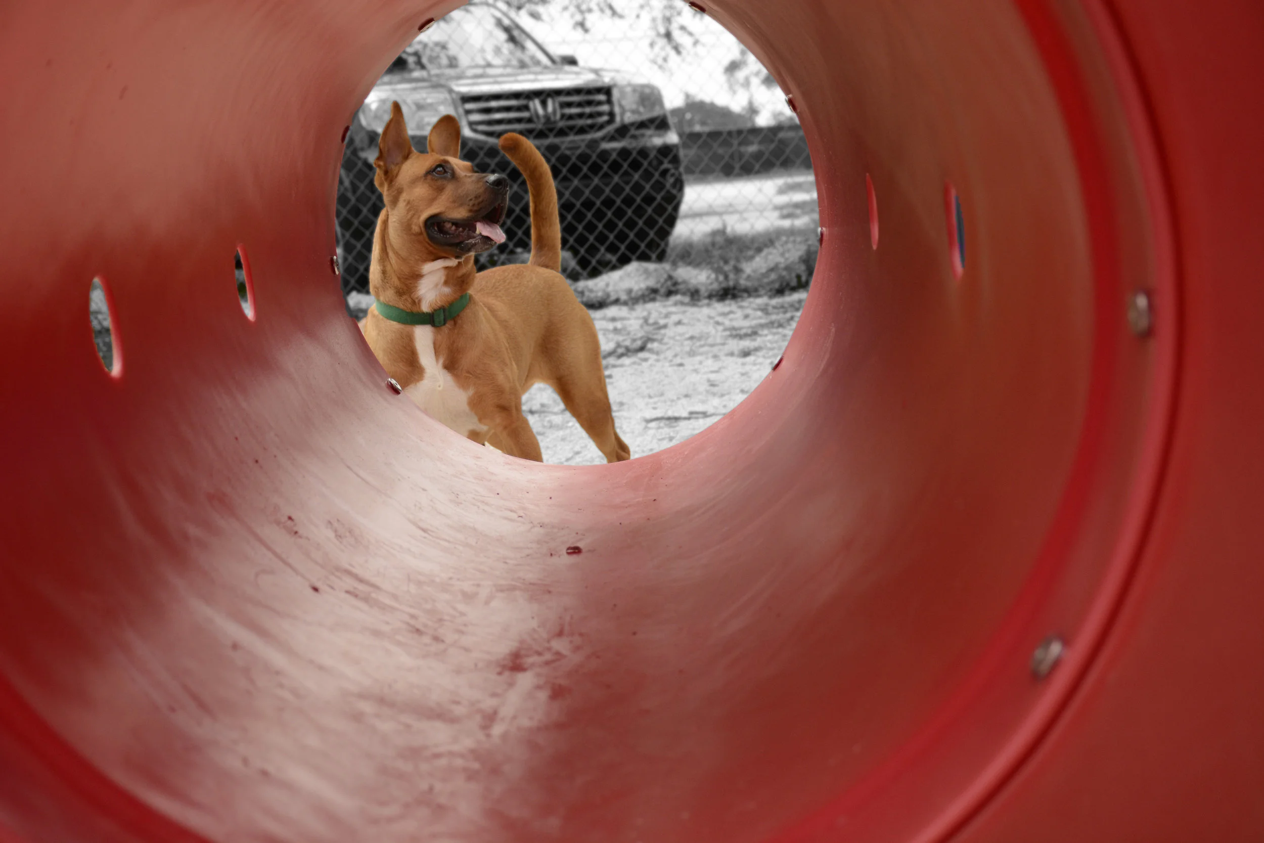Tuffy.jpg