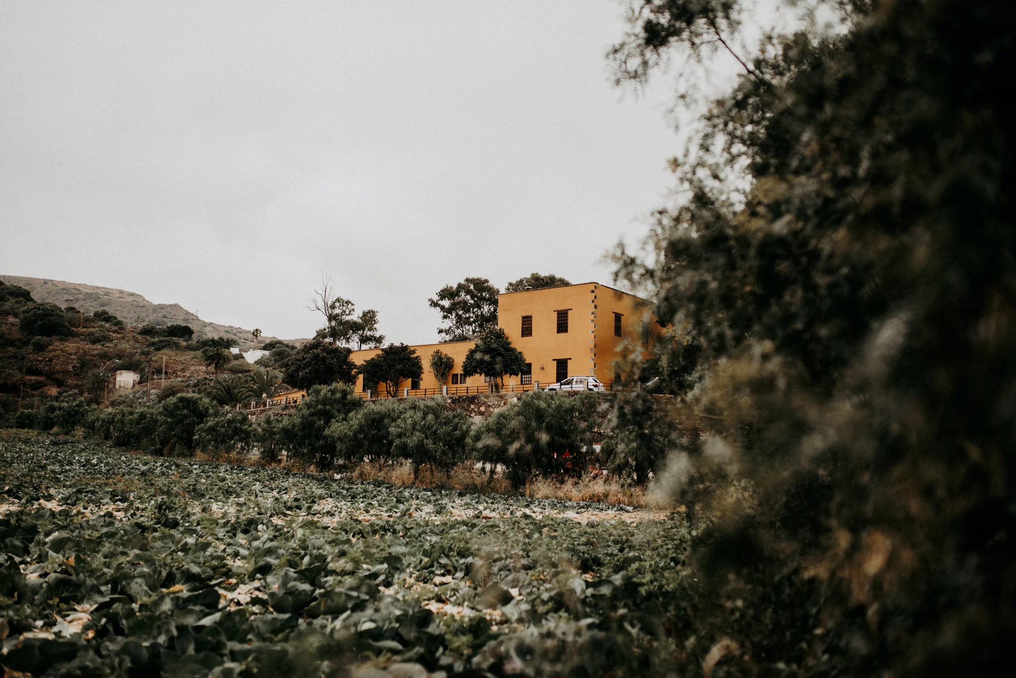 Boda_Mar_y_Carlos_Fotografo_bodas_las_palmas.jpg