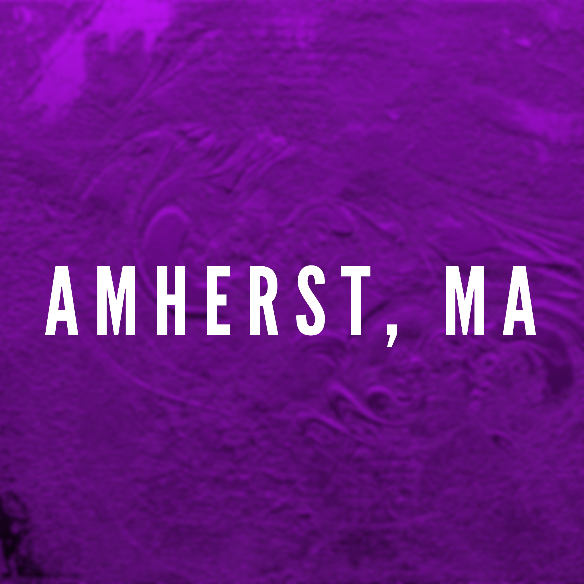 SAGE CORPS — University Spotlight Amherst College