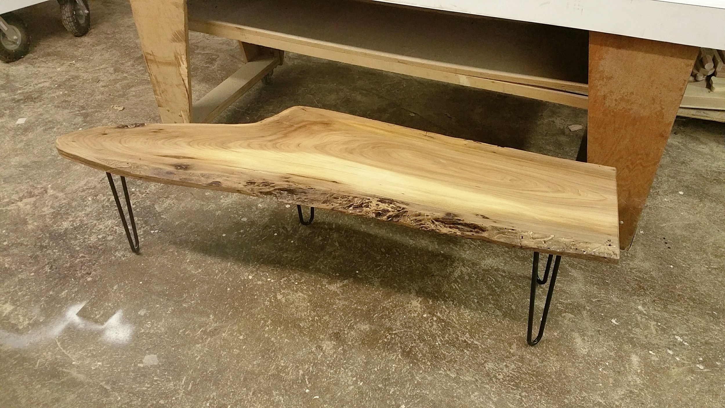 Elm Bench 1.jpg