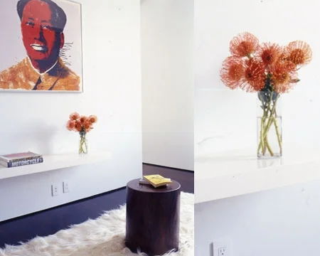  Photo: William Abranowicz 