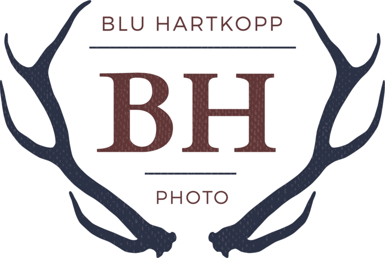 Blu Hartkopp Studio