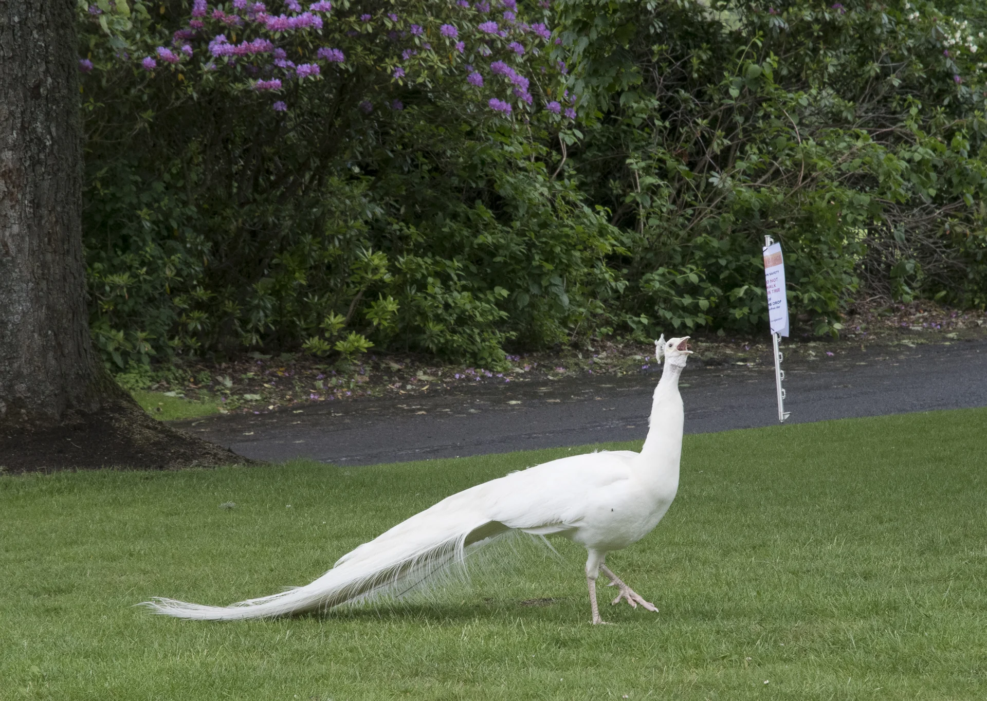 Scotland_2017-8859.jpg