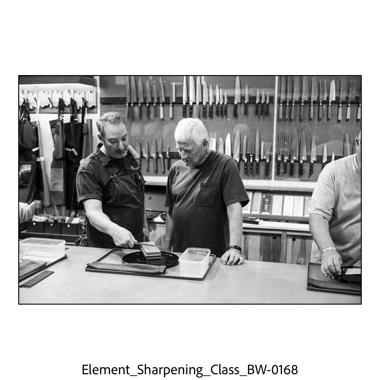 element_Color-446.jpg