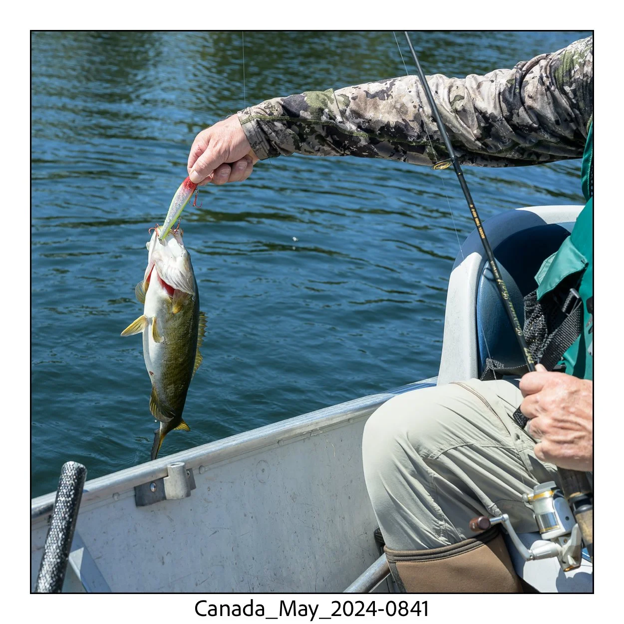 canada_titles-027.jpg