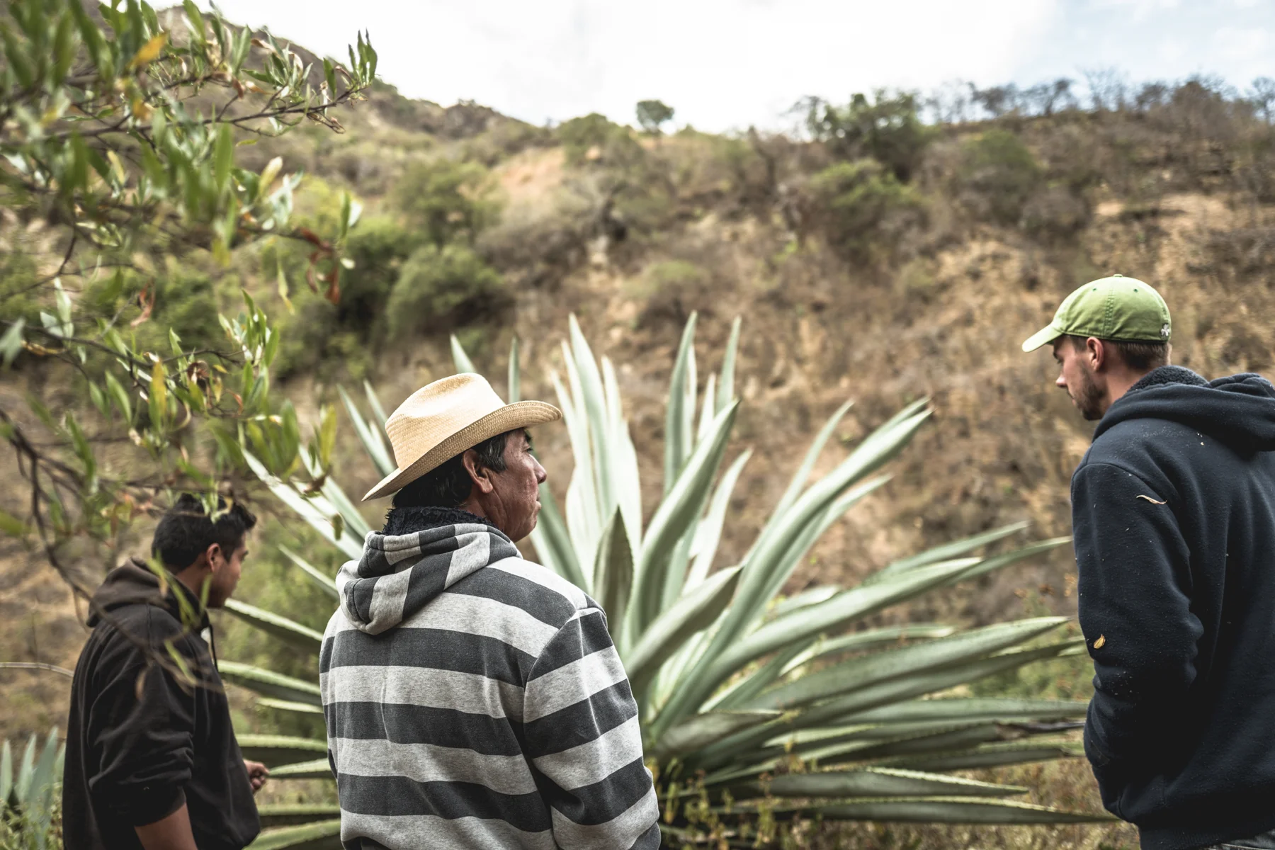 Maestro mezcalero Alberto Martinez in the foreground and giant Sierra Negra in the background.