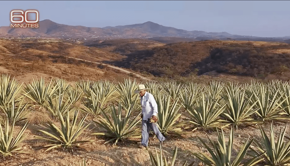 60 Minutes Feature  Cinco Sentidos
