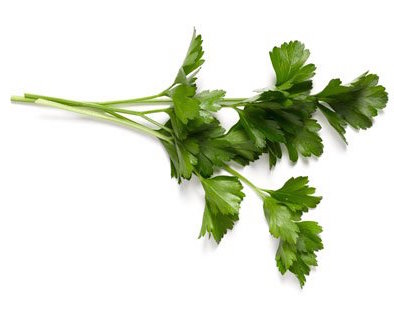 parsley.jpeg