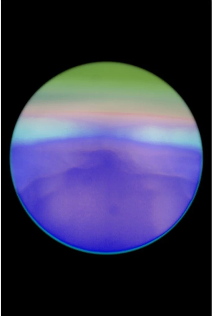 Interior Landscape, March 2025