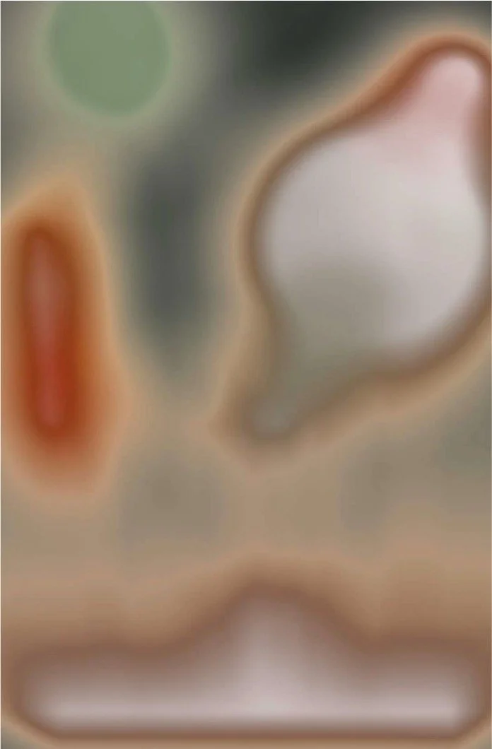 Untitled, Novembre 2019