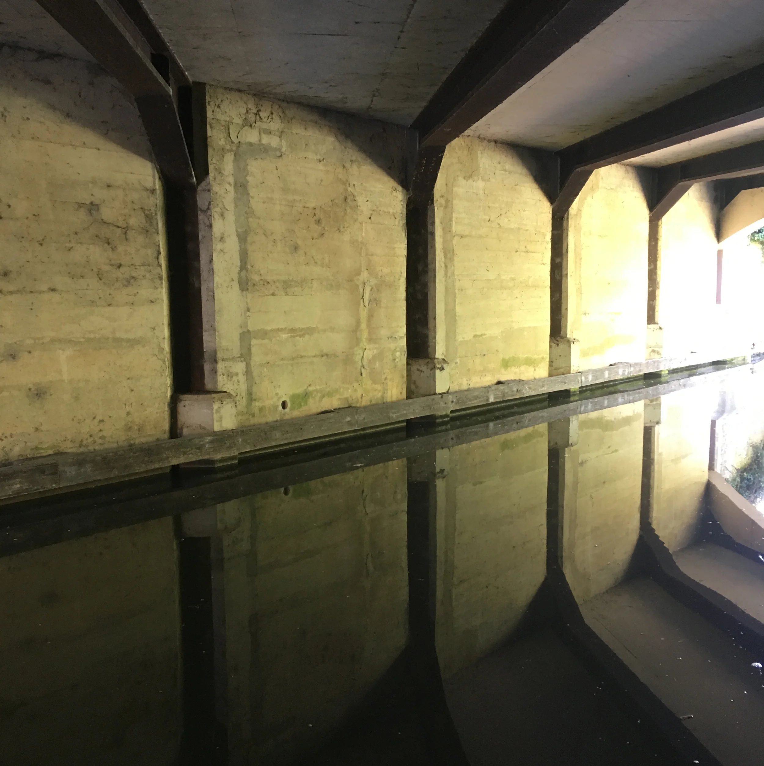 canal-5.jpg