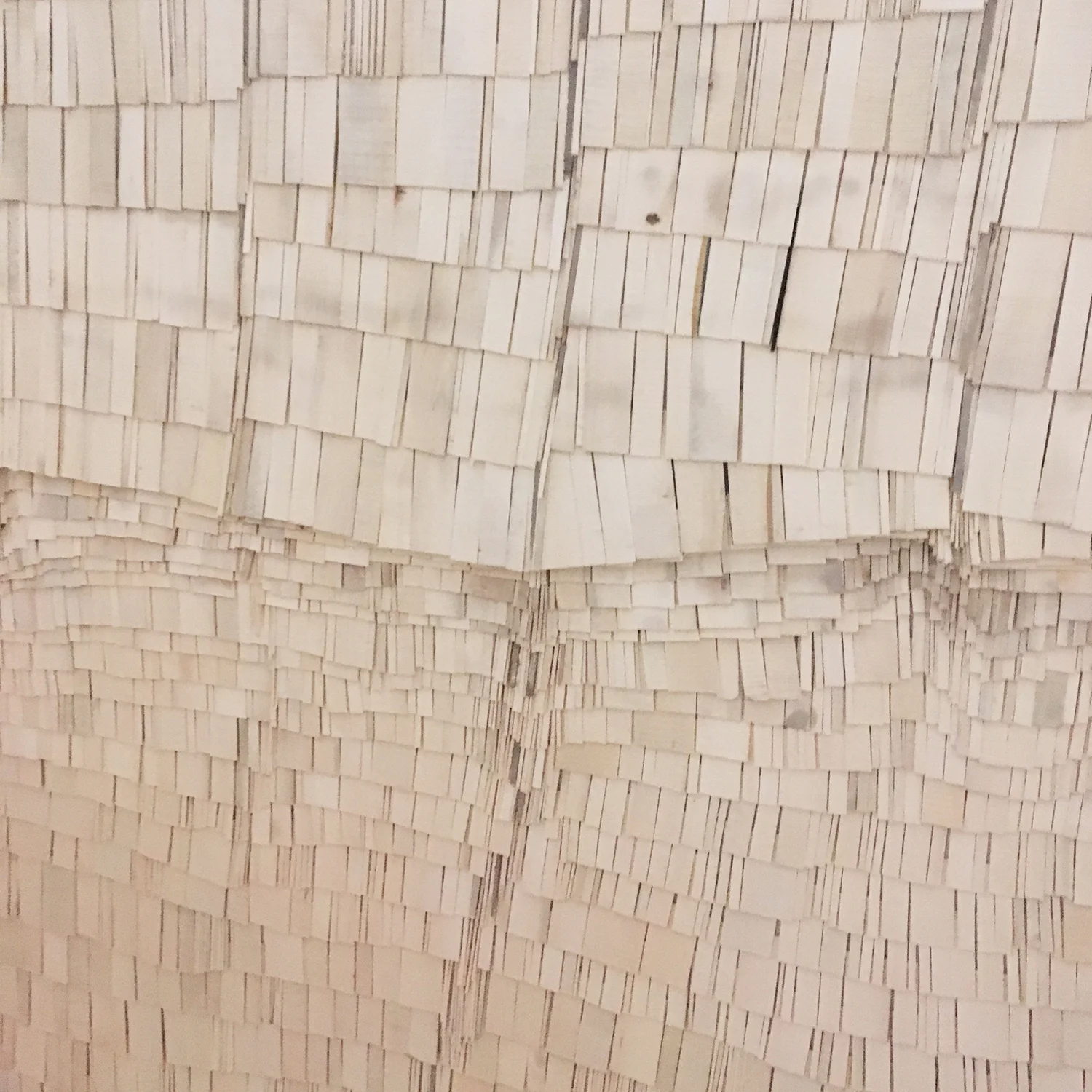 100 Foot Drain/Annie’s Wood, by Wycliffe Stutchbury (detail)