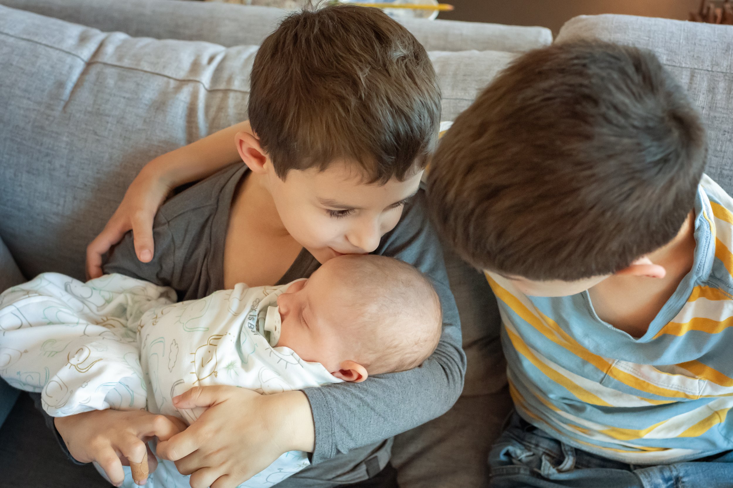 Older Brothers Holding Newborn Sibling - Jessica Leigh Prokop