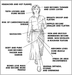 menopause-1.gif