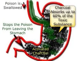 Activated Charcoal Saves Lives!
