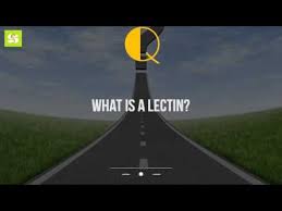 It's important to know what a lectin is and how it affects you.