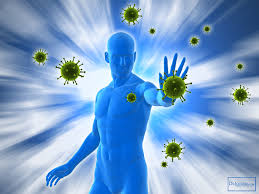 Give your immune system the nutrition it needs to protect you.