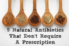 There are so Many Alternatives to Treat Infections