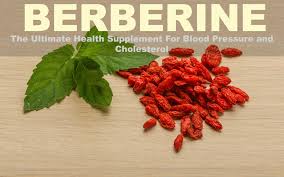 A Natural Antibiotic, Antimicrobial Supplement