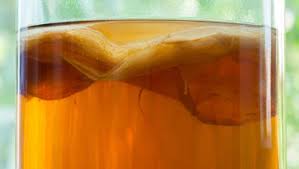Fermentation is Different in Every Kombucha