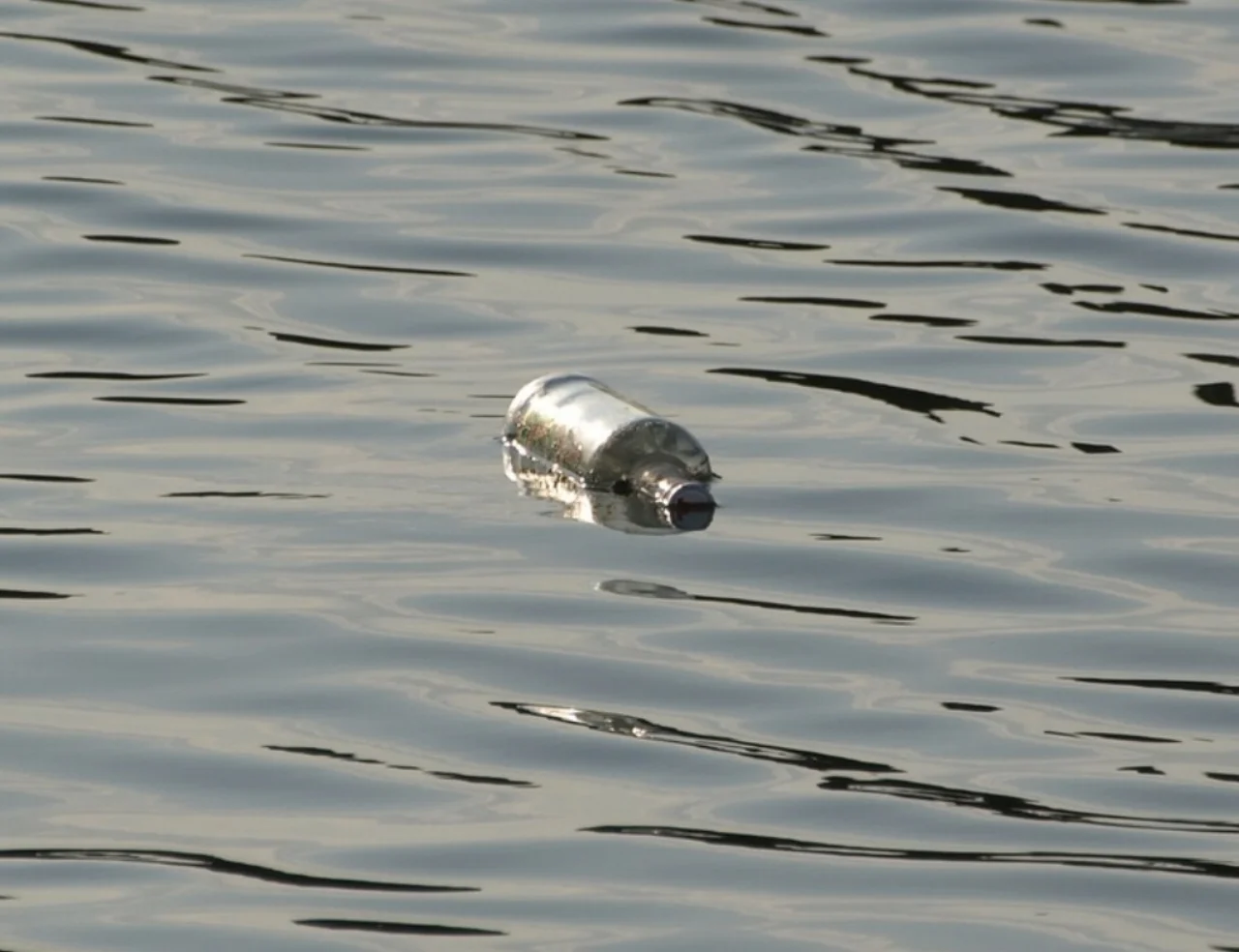 Message in a Bottle