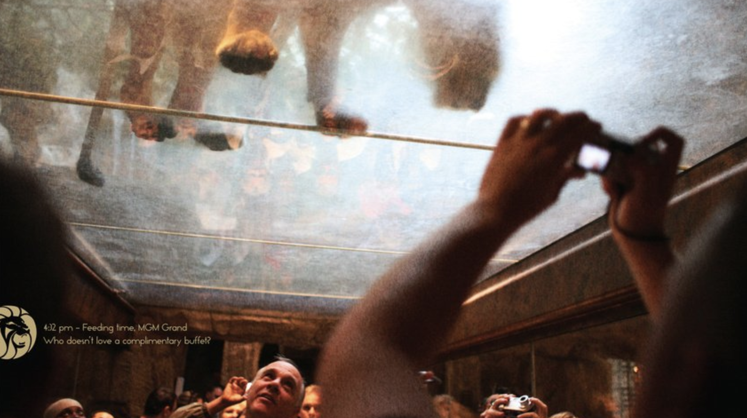 Screen Shot 2022-03-20 at 9.08.26 PM.png