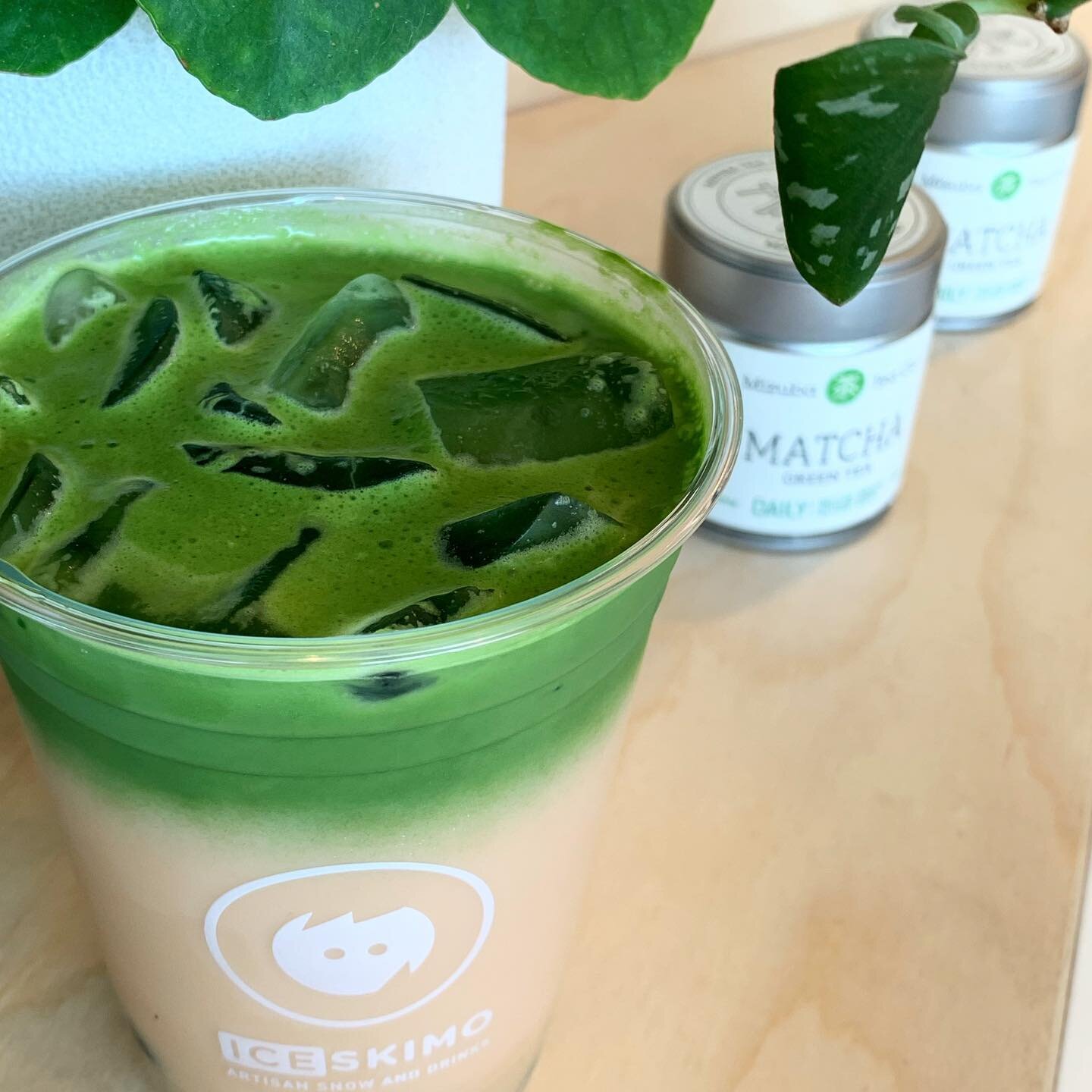 Mackenzie from our Del Mar shop created an interesting Forrest Milk Tea drink. Surprisingly smooth, Matcha pairs perfectly with our Iceskimo milk tea. Now available on the secret menu at all locations  #iceskimo #mizubamatcha #matcha #forrestmilktea