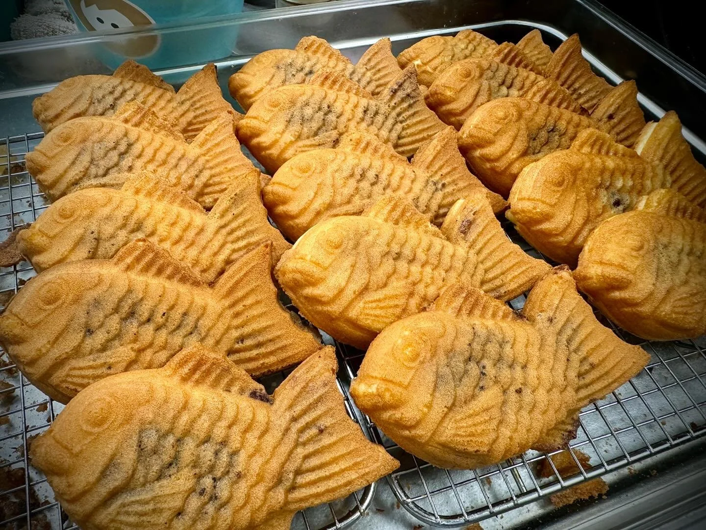 We&rsquo;re serving up fresh taiyaki at Del Mar and Eastlake stores! Best enjoyed with a mini softie or custom filling (Nutella, Oreo, Mochi, Banana, Red bean, Cheese).