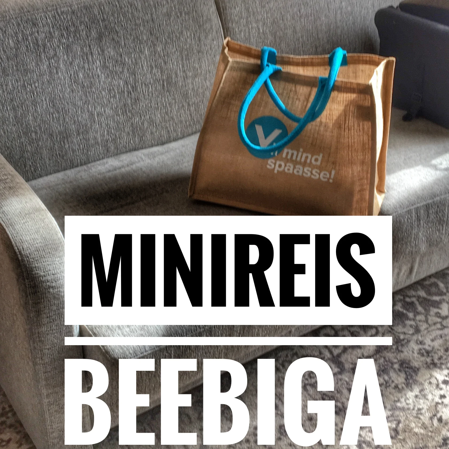 Esimene minireis