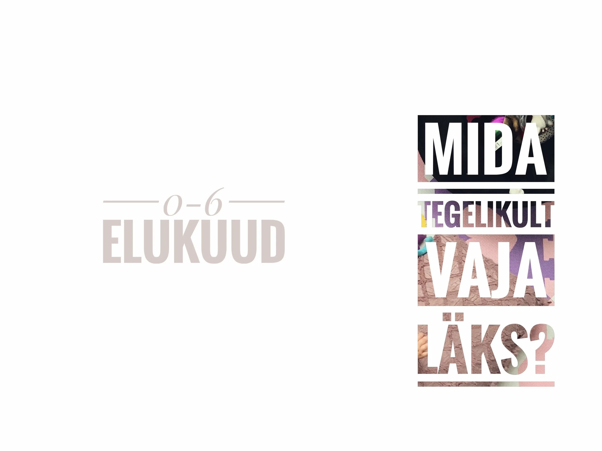 Beebivajalik - 0-6 elukuud