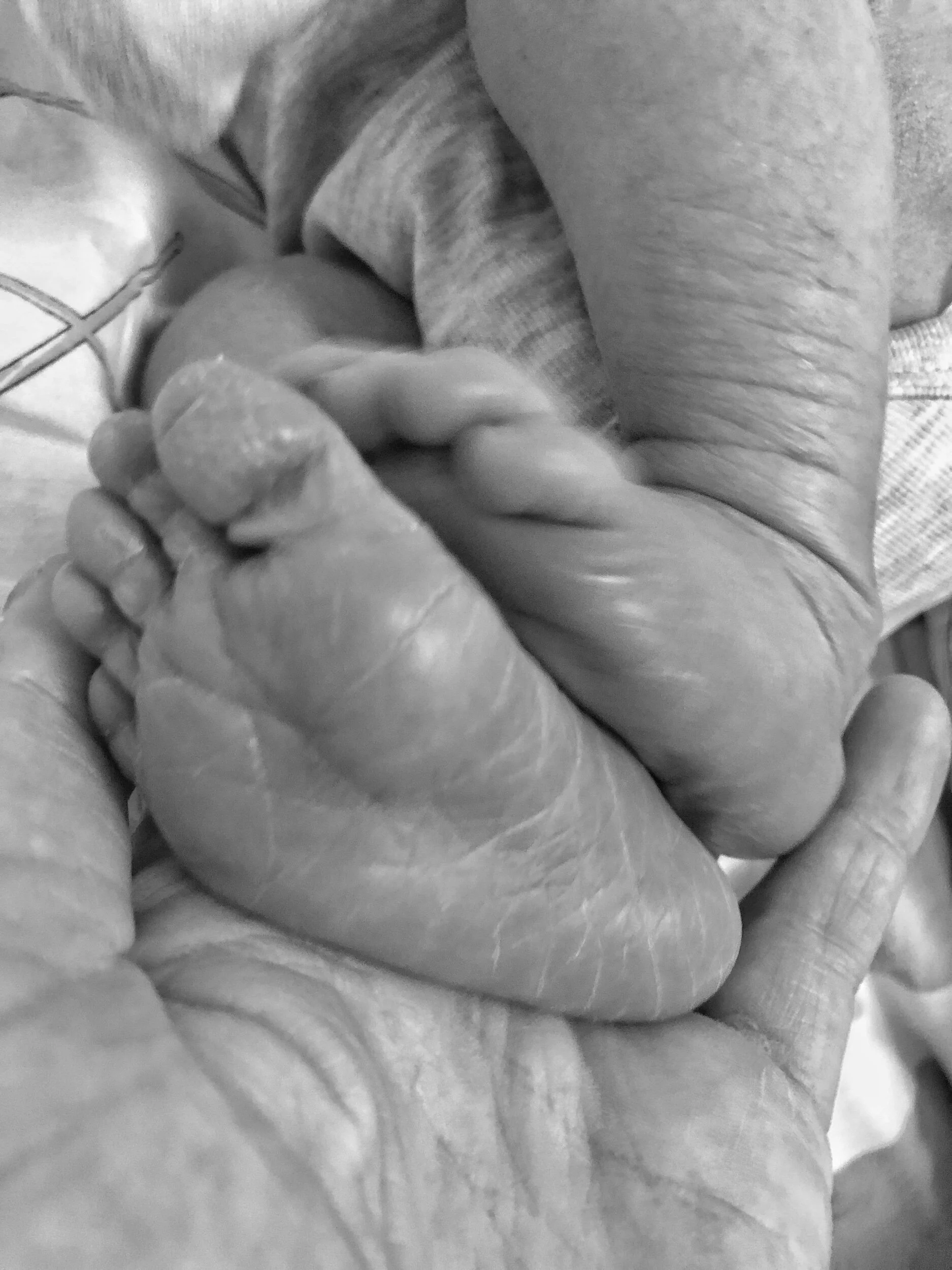 Lõpp-punkt 2 ehk Korduvsünnitus