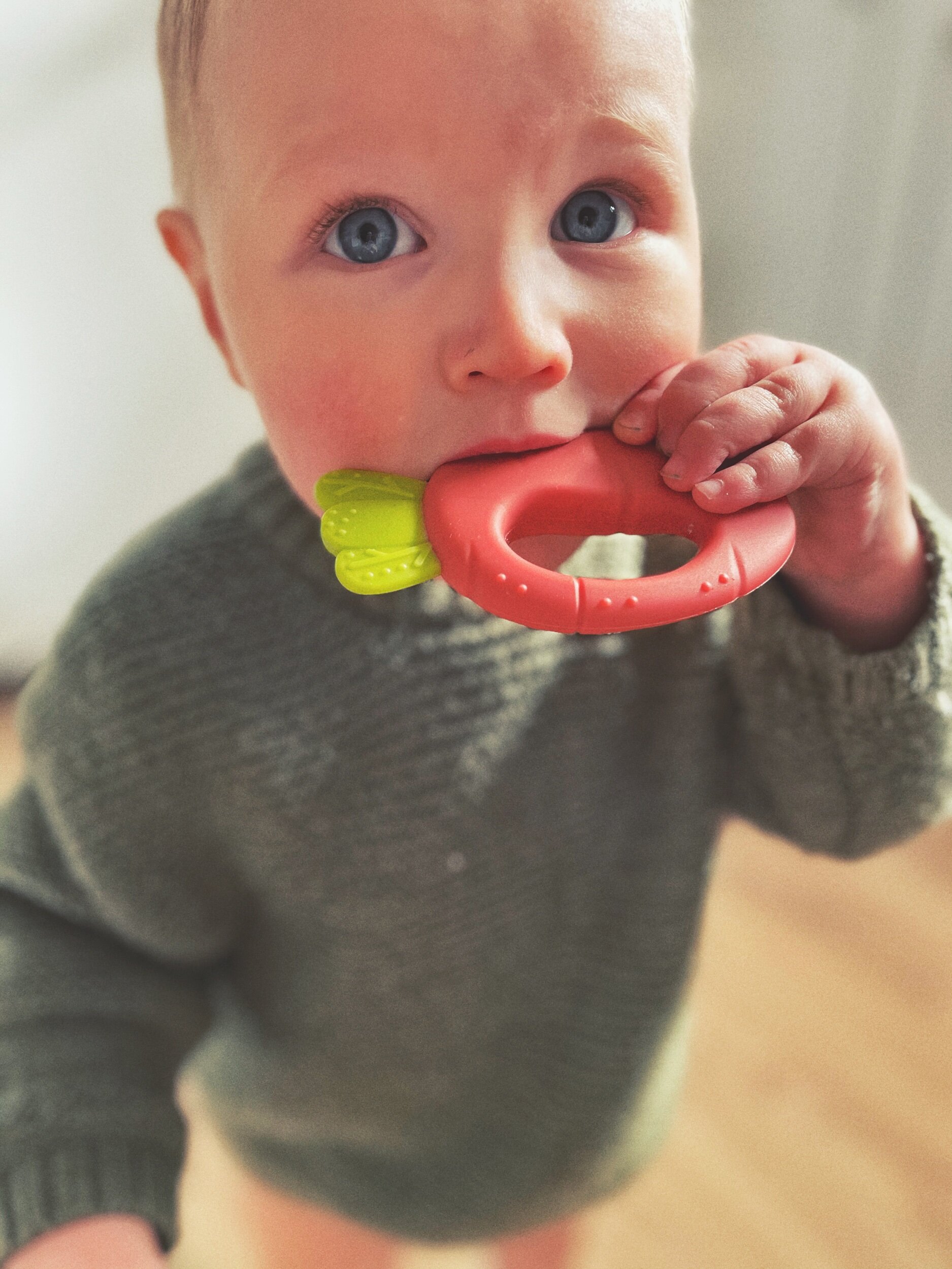 726D72CA-2FFA-41B9-905C-CE823BDEB6CB