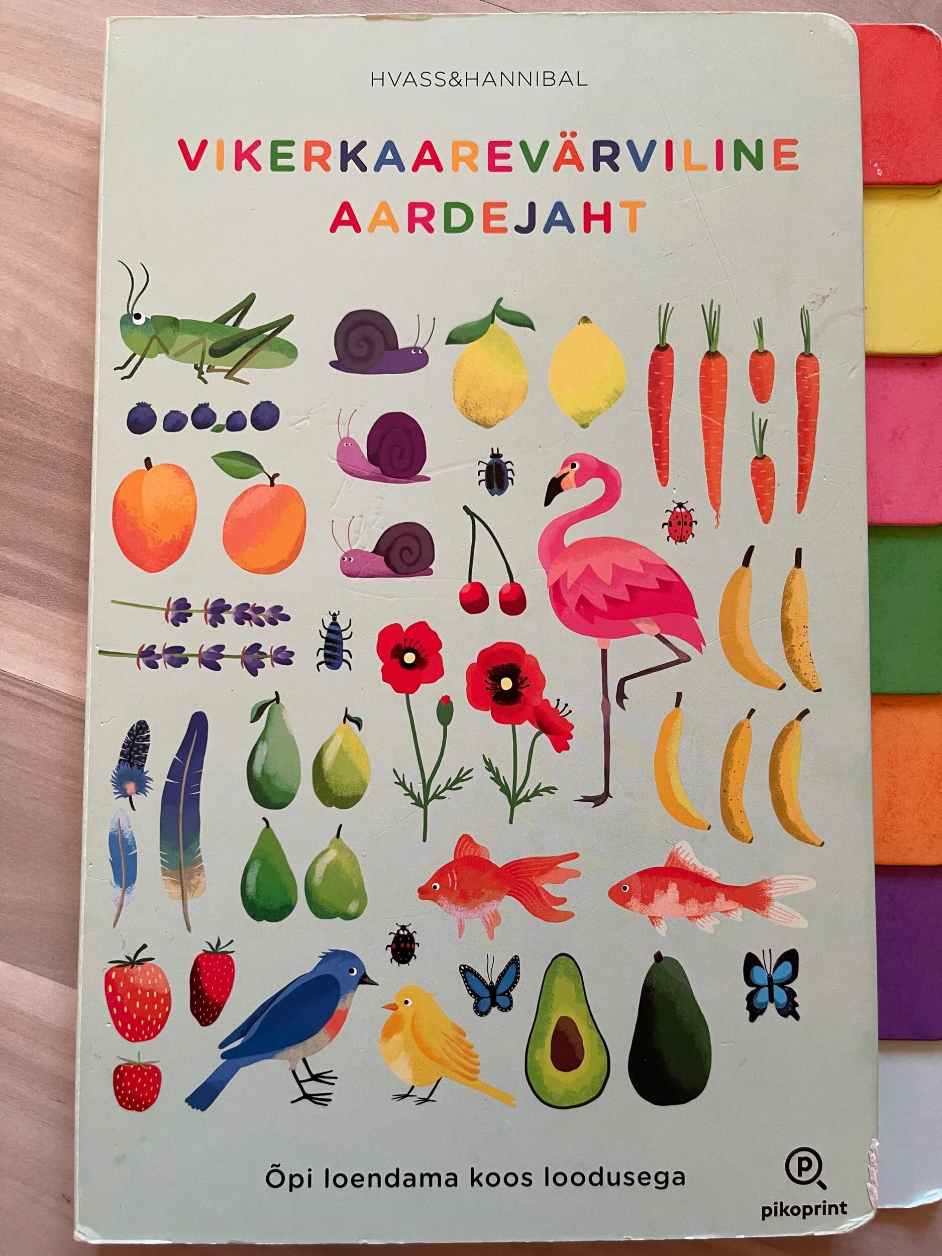 9E1EB629-22A6-4AE7-9BB6-9D17DBEBBFBD