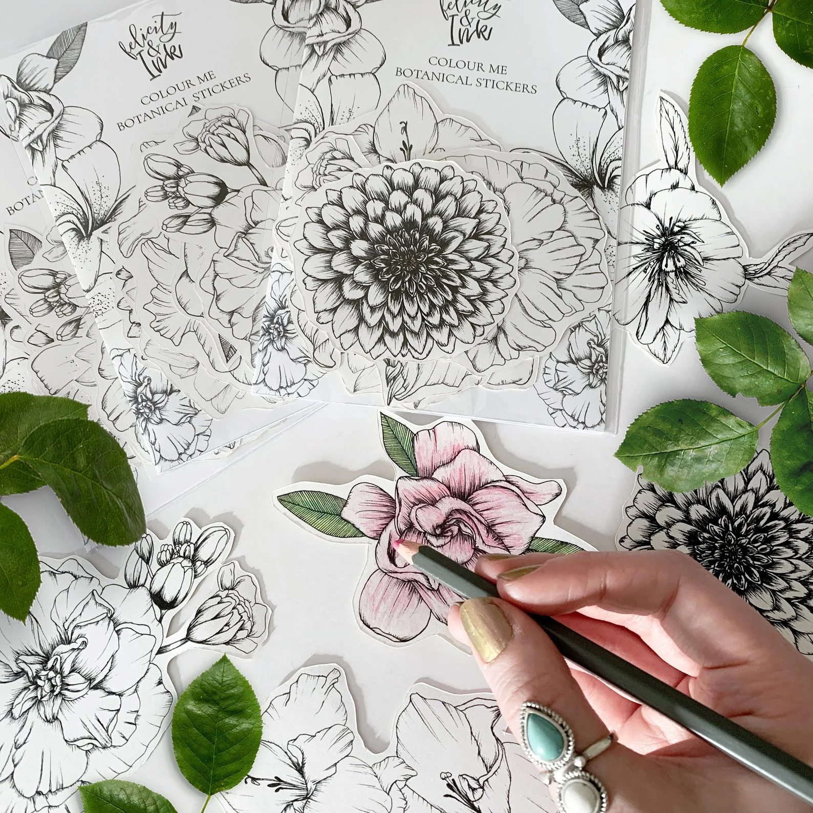 Felicity and Ink Colour In Botanical Sticker Set.jpg