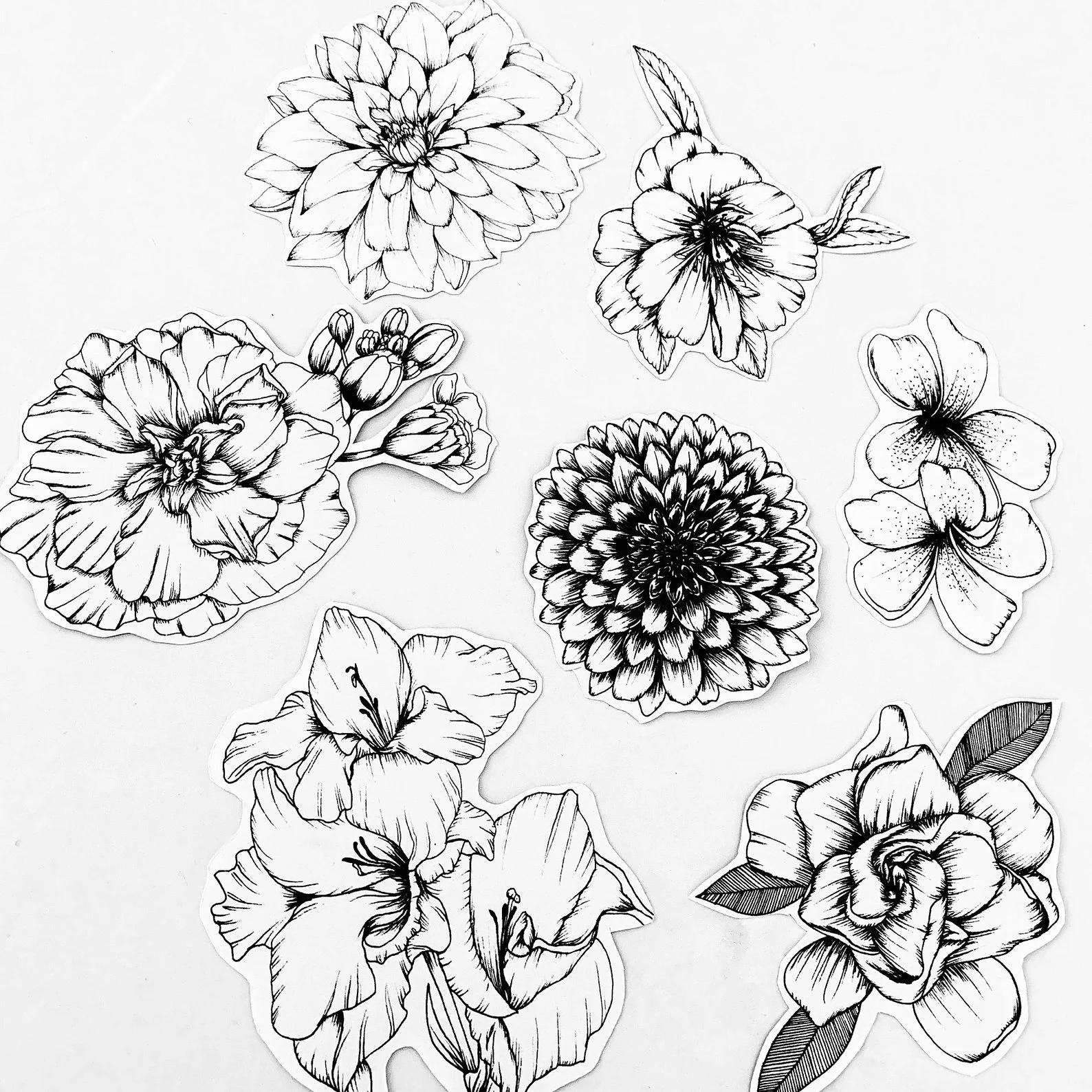 Felicity and Ink Colour In Botanical Sticker Set 2.jpg