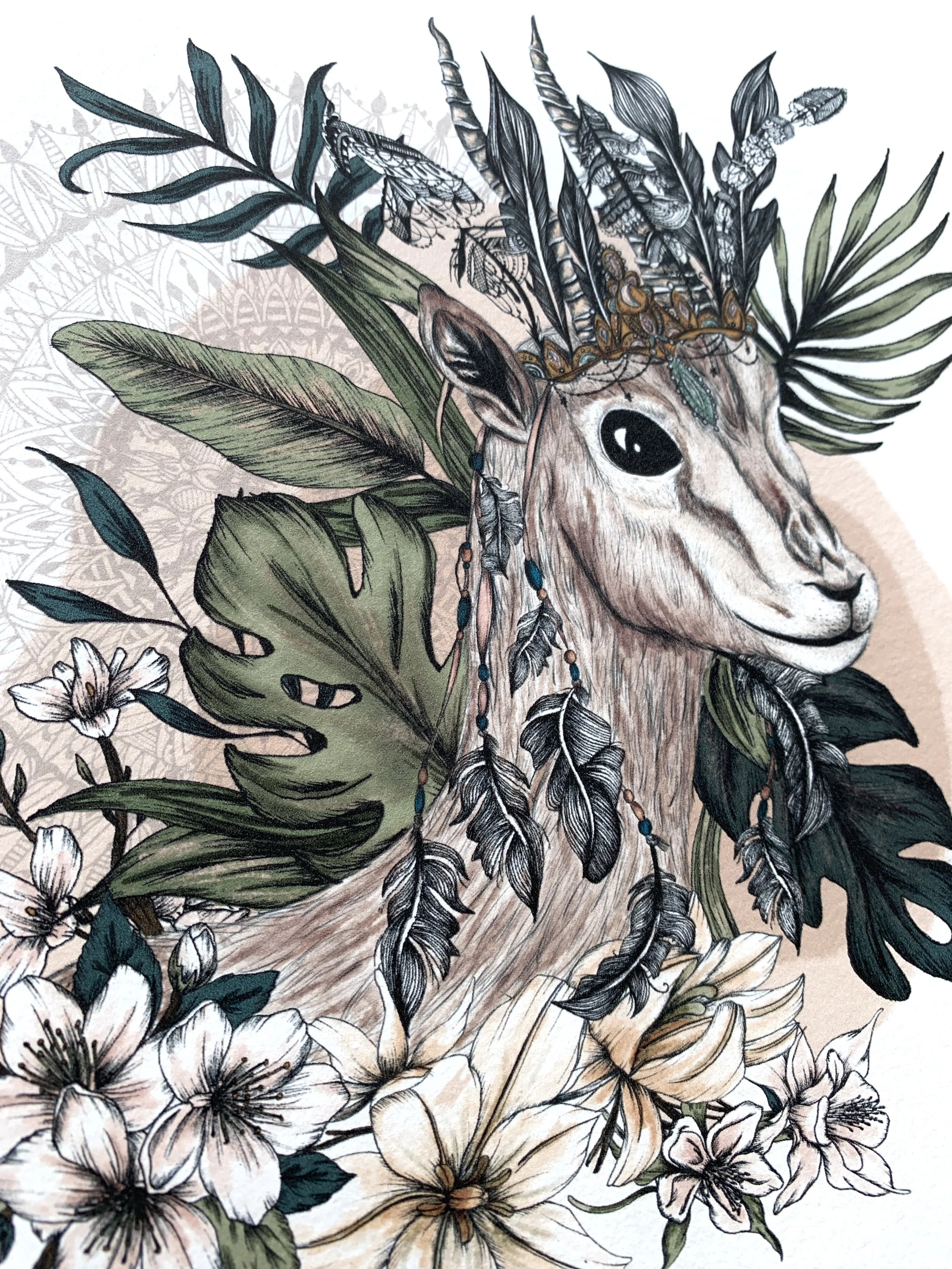 Felicity and Ink_Safari_Gazelle_Seconds_Details 2.jpg