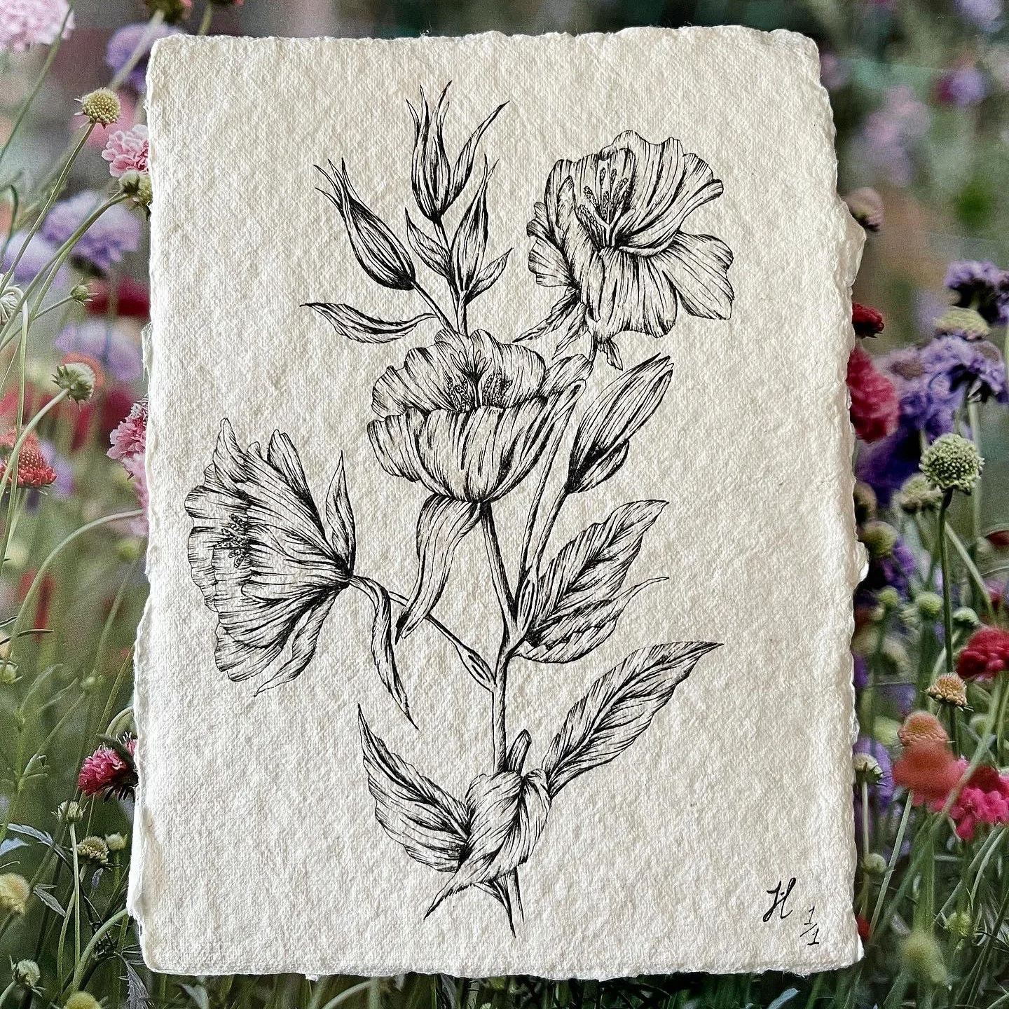 PRIMROSE | Hand drawn on hand made paper