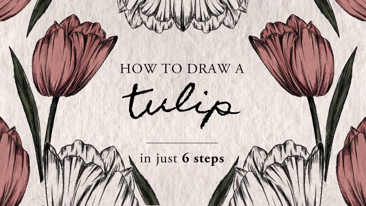 Learn How To Draw A Tulip - Easy Beginners Video Tutorial