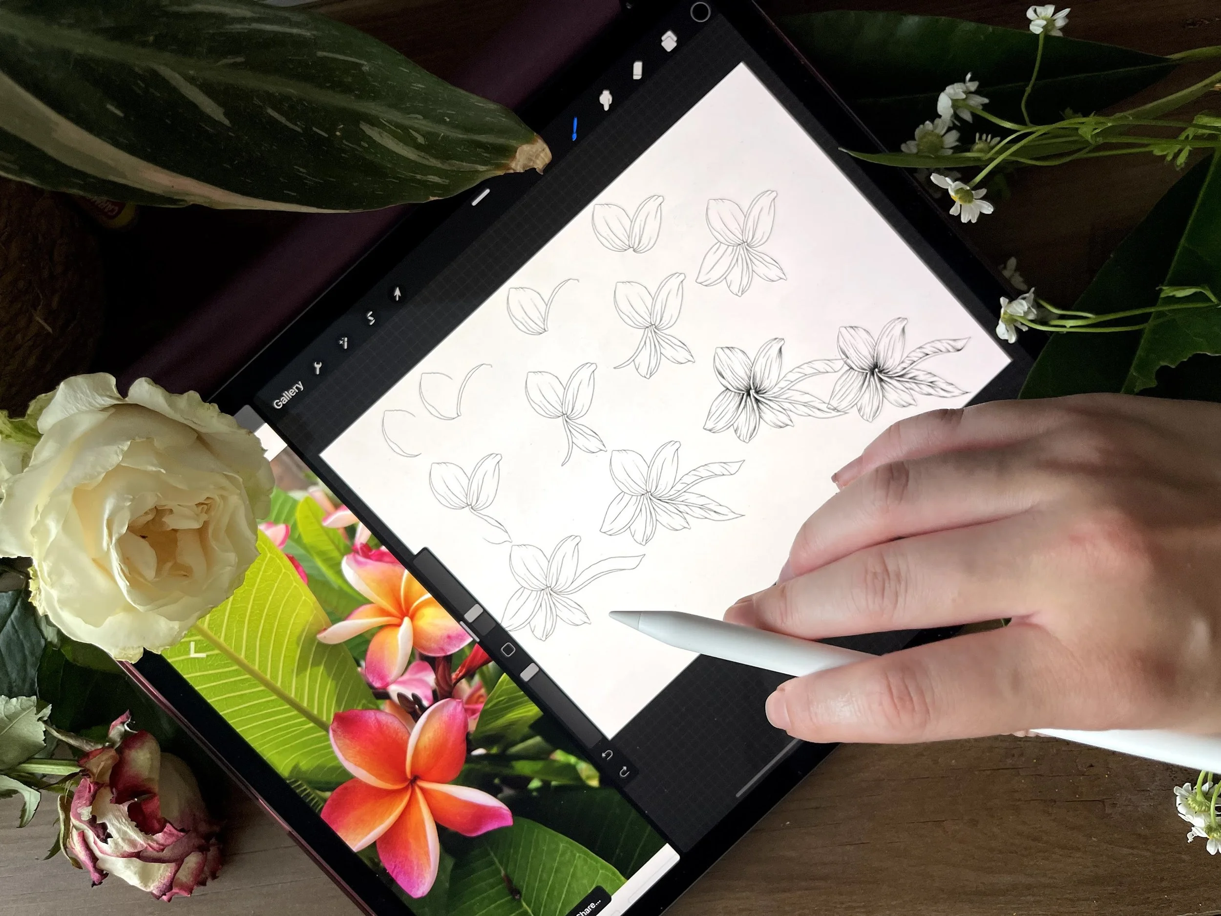How To Draw Realistic Ink Florals Using Procreate - Step By Step Video Tutorial