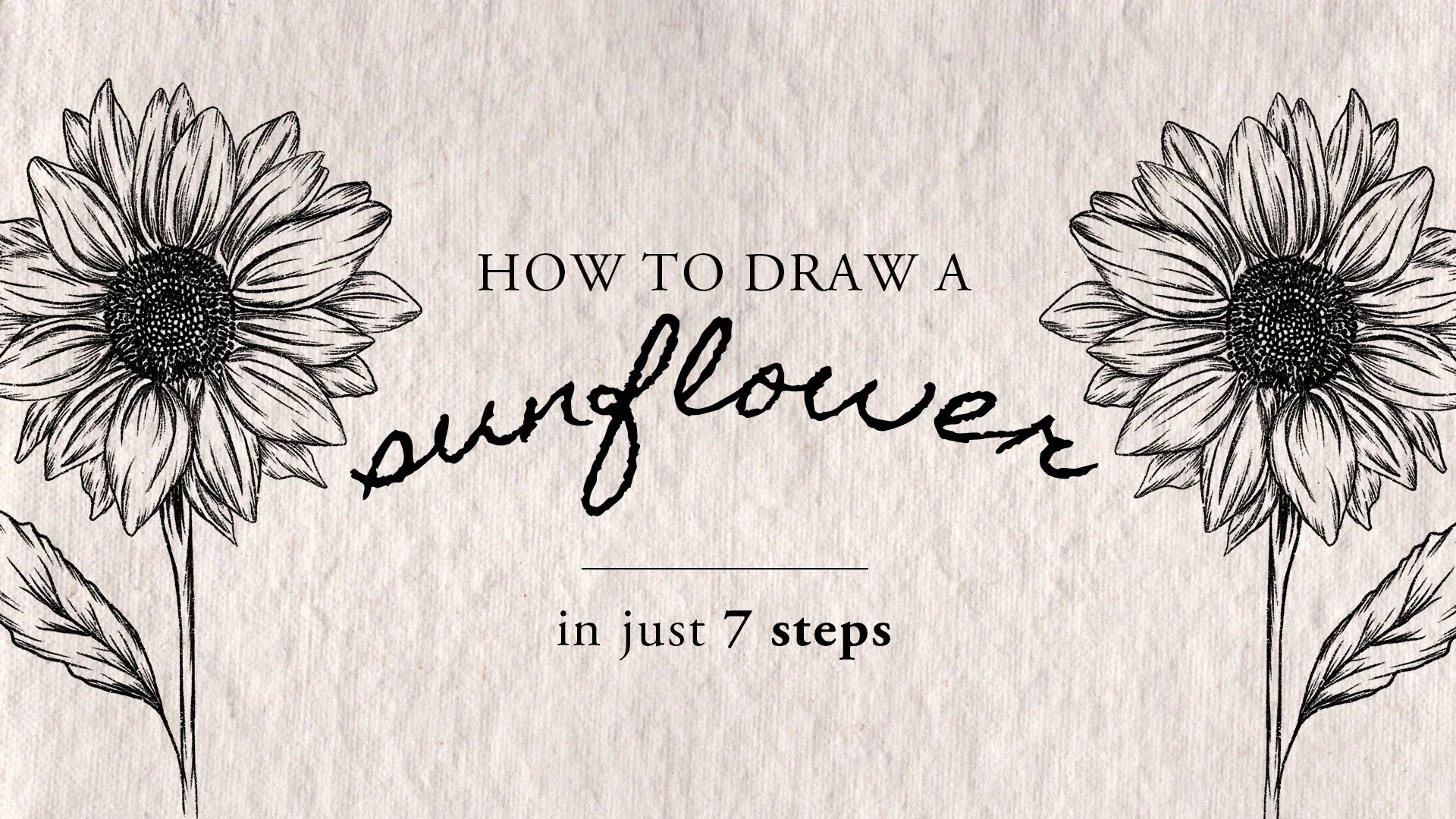 How To Draw Sunflowers - Real Time Video Tutorial