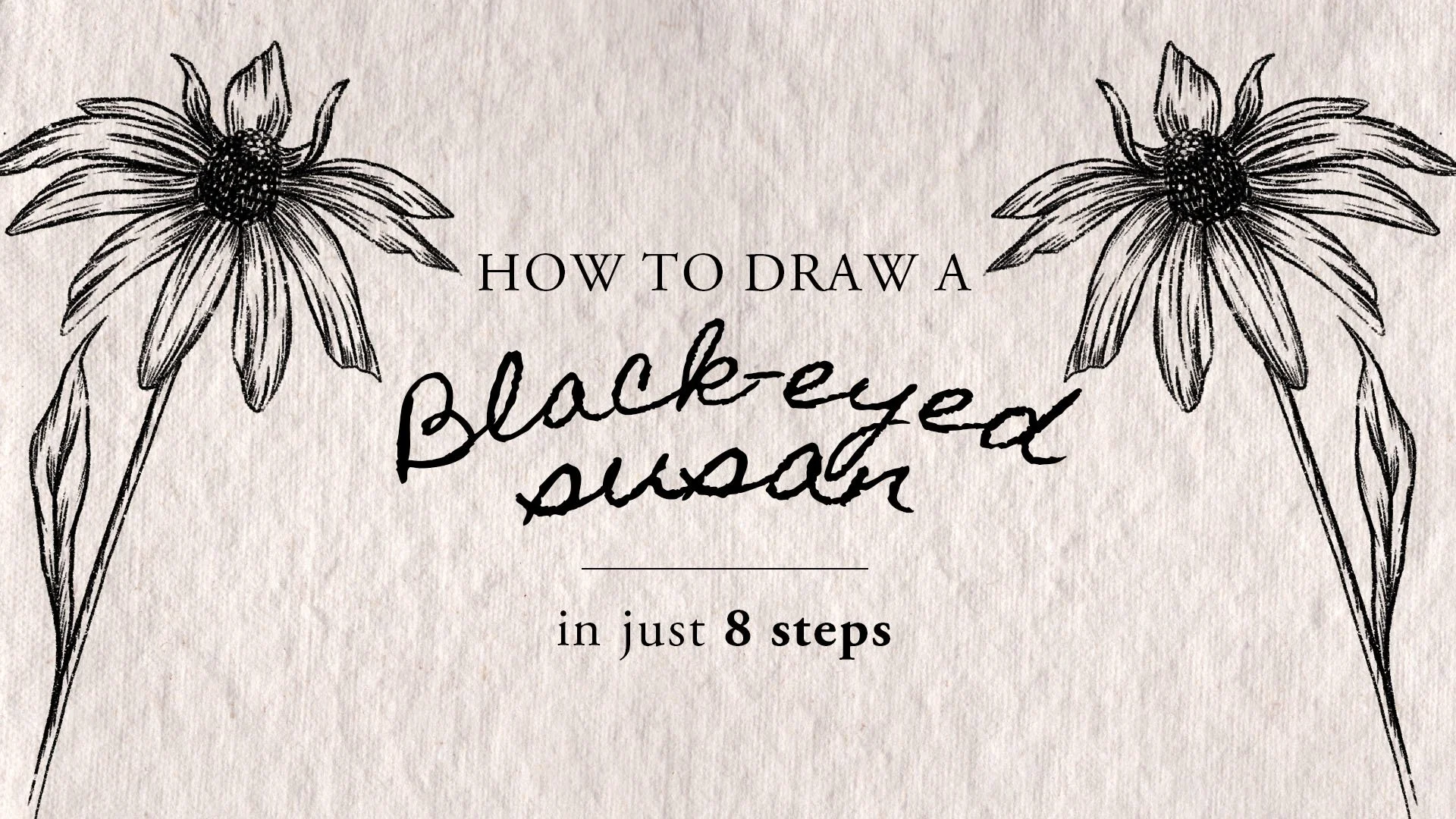 How To Draw Black Eyed Susan - Real Time Video Tutorial