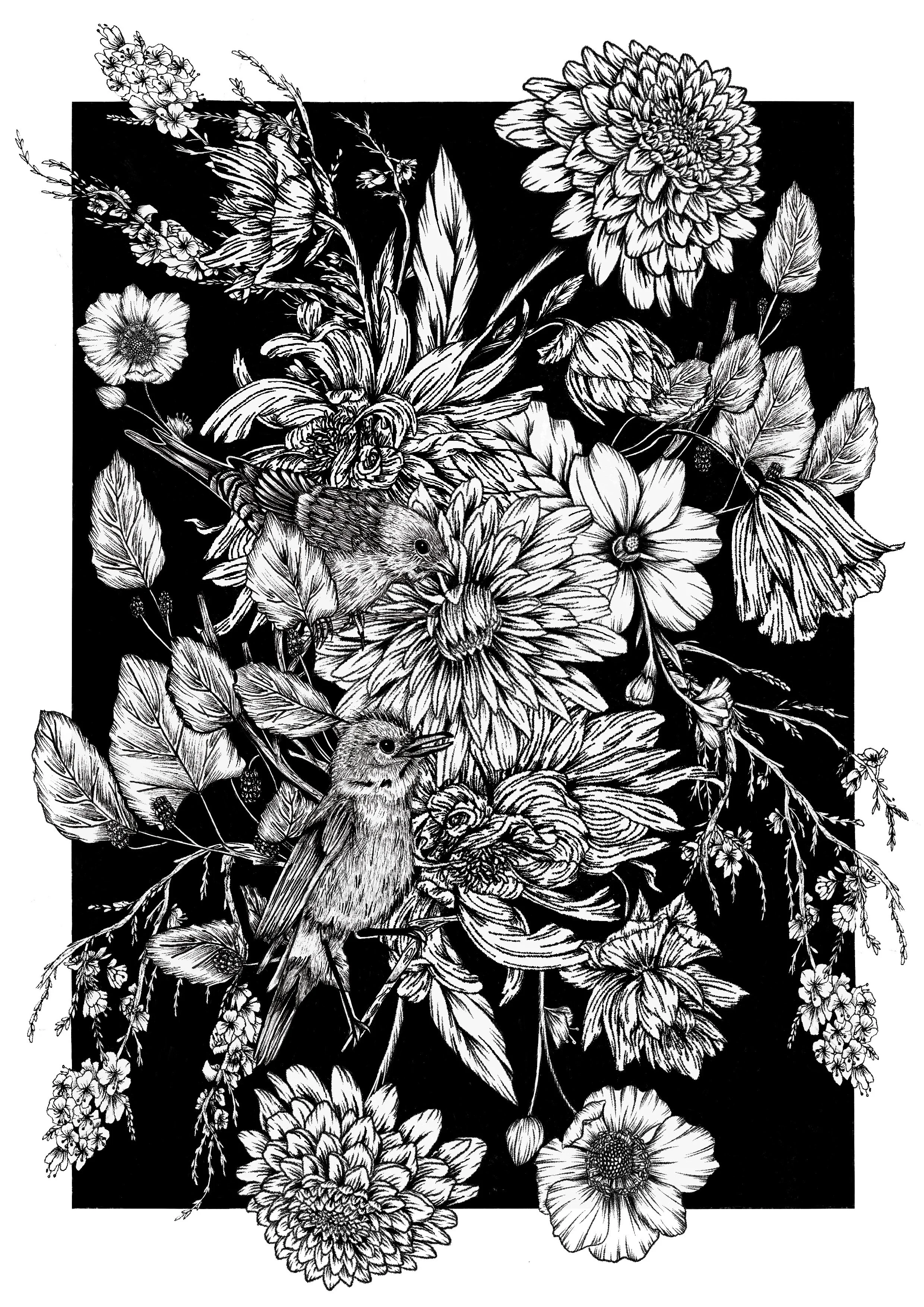 CHAFFINCH GARDEN | Digitally drawn illustration