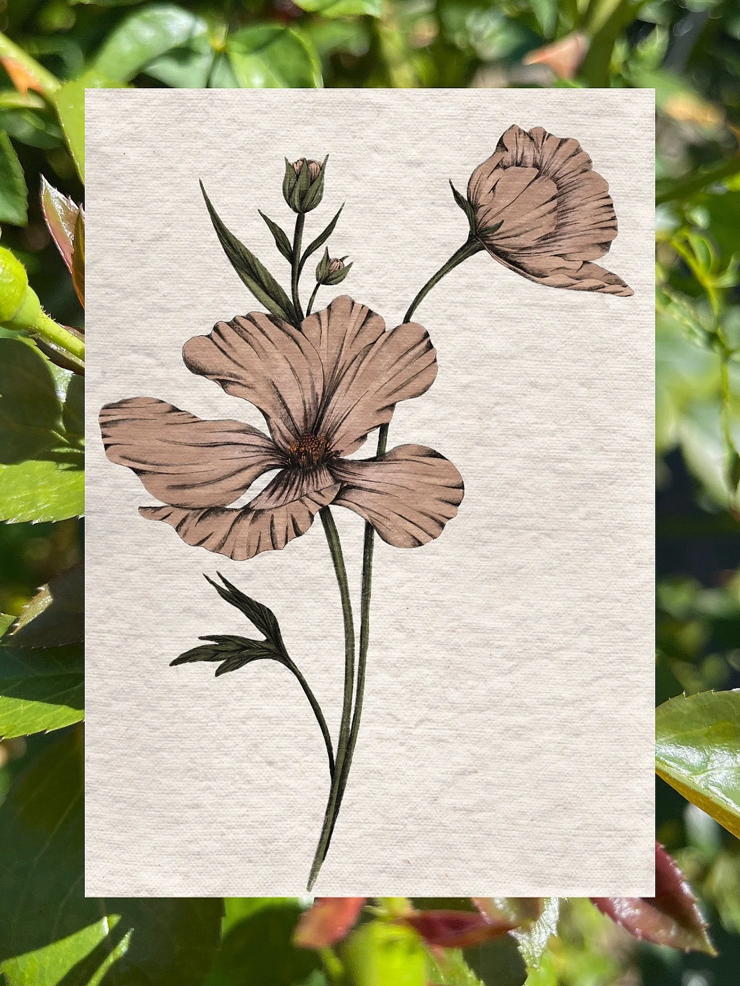 A quick floral drawing in Procreate. 🌸💕

#floraldrawing #drawingflowers #flowerartist #botanicalartist #procreatedrawings #digitalartoftheday #digitaldrawingart #botanicallinedrawing