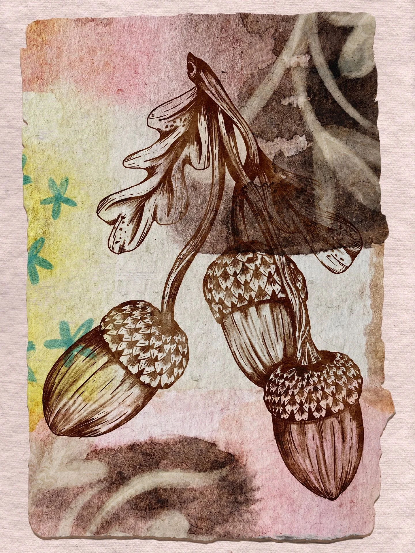 Experimenting with combining some of my favourite art mediums for the first day of #peachtober25 #peachtober25acorn 🍂

#mixedmediaartwork #natureartwork #natureart #drawingisfun #illustrationartwork #acorndrawing