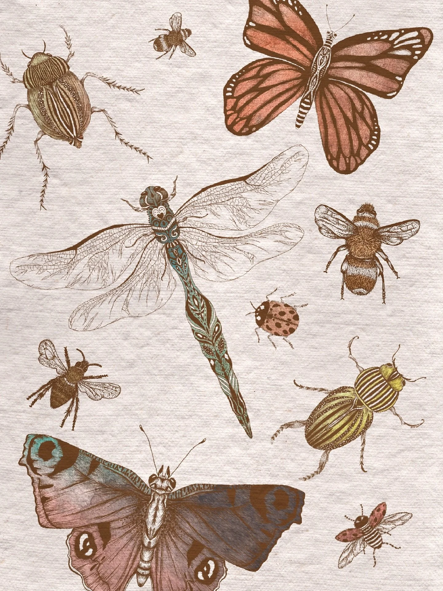 An assortment of critters for day 10 of #peachtober 🐞🦋🐝

#peachtober25
#peachtober25critter

#naturedrawing #beetleart #floraandfauna #illustrationartwork #penandinkdrawing