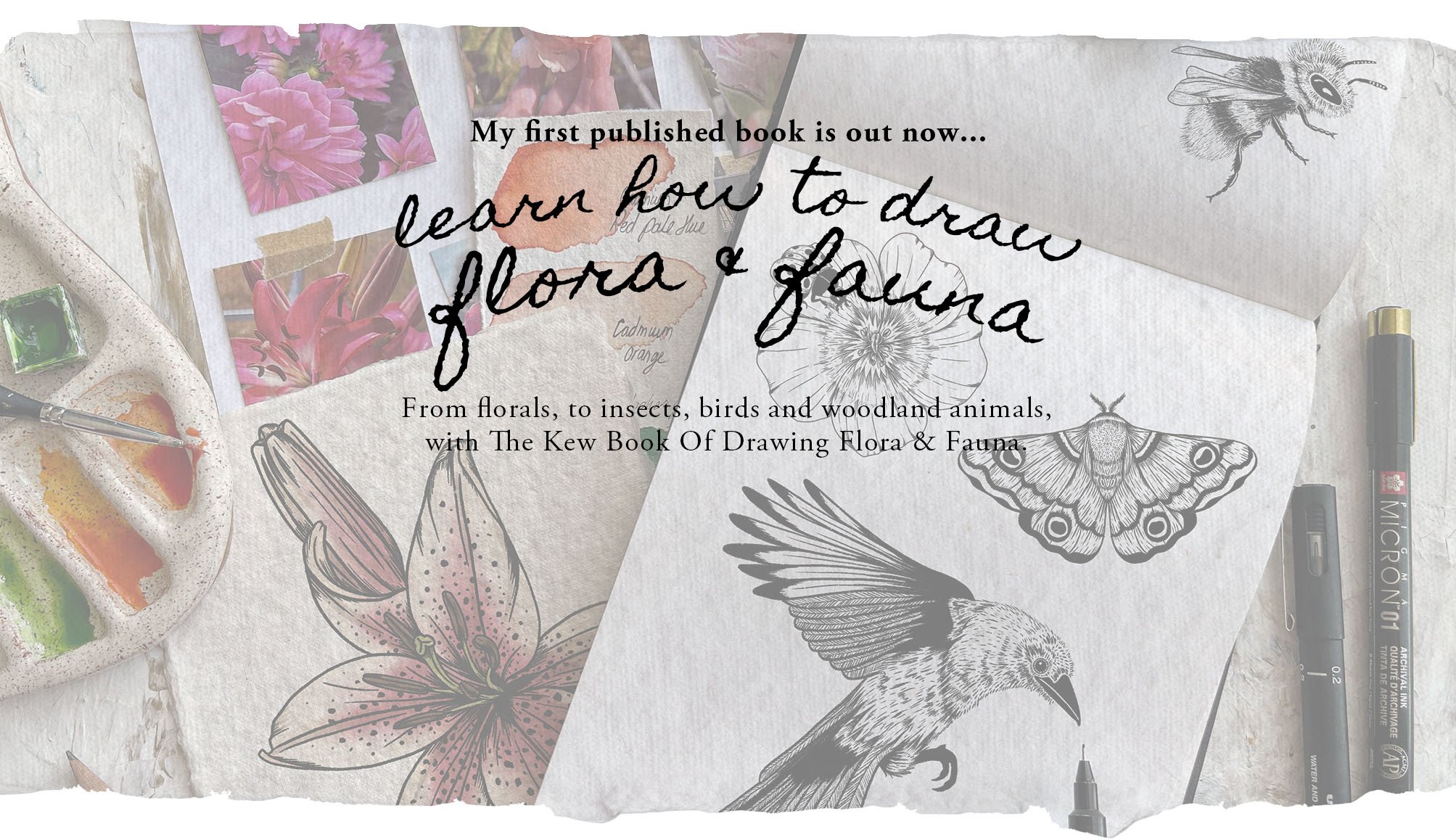 Felicity-and-ink-the-kew-book-of-drawing-flora-and-fauna.jpg
