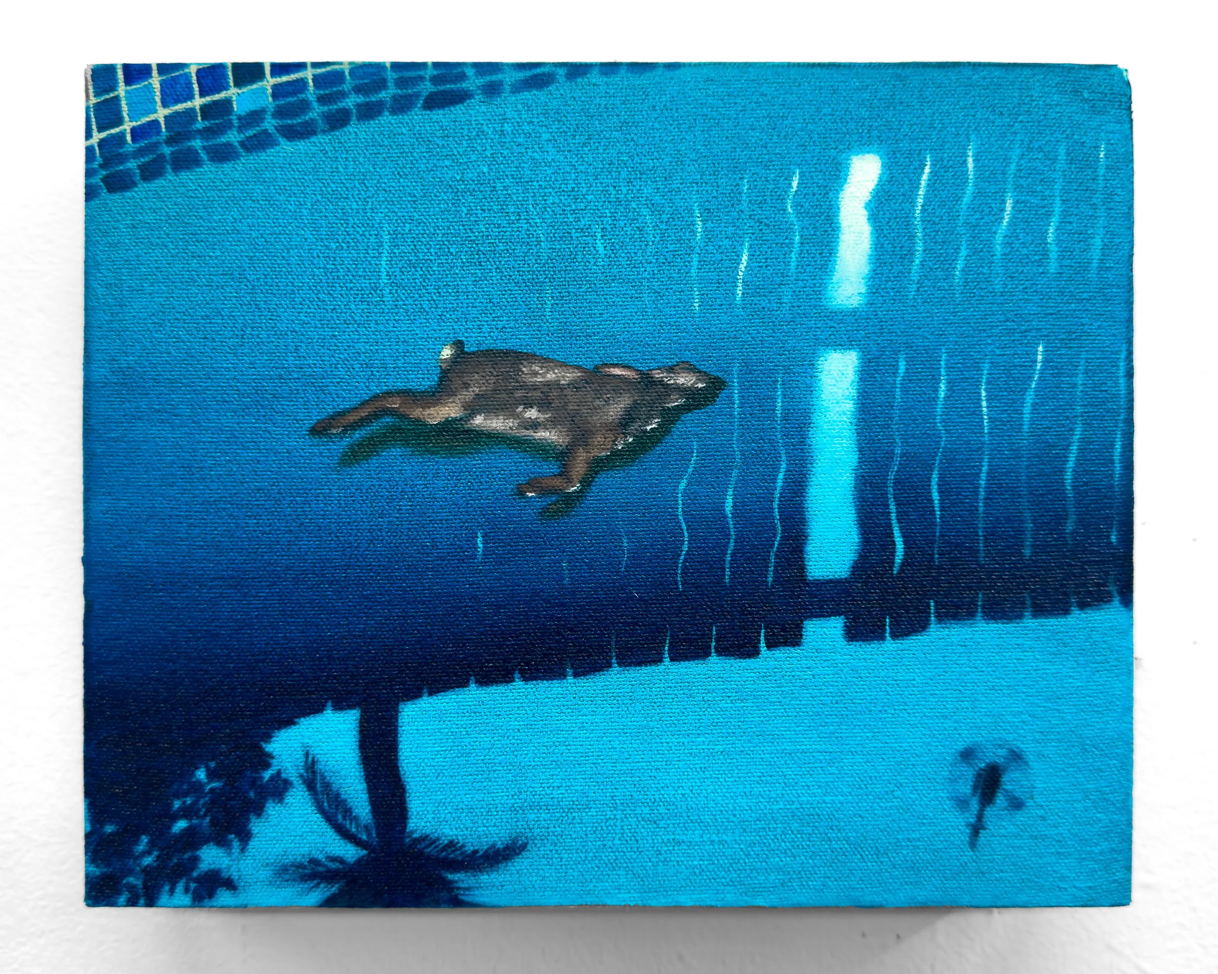 Pool Study 1.jpg