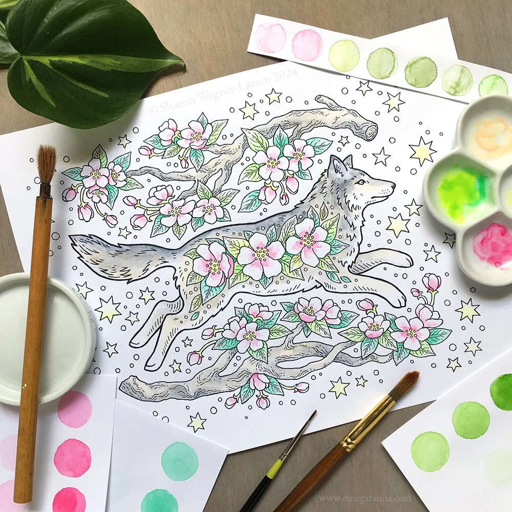 Wolf+WildAppleBlossoms-Watercolor-Process-watermarks.jpg