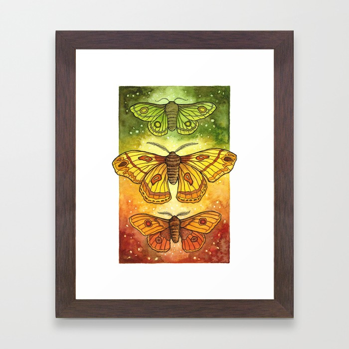moth-trio-autumnal-twilight-framed-prints.jpg